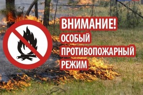 В Благовещенском районе введен особый противопожарный режим