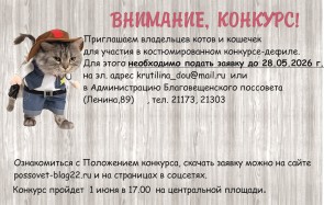 Положение о проведении костюмированного конкурса-дефиле кошек