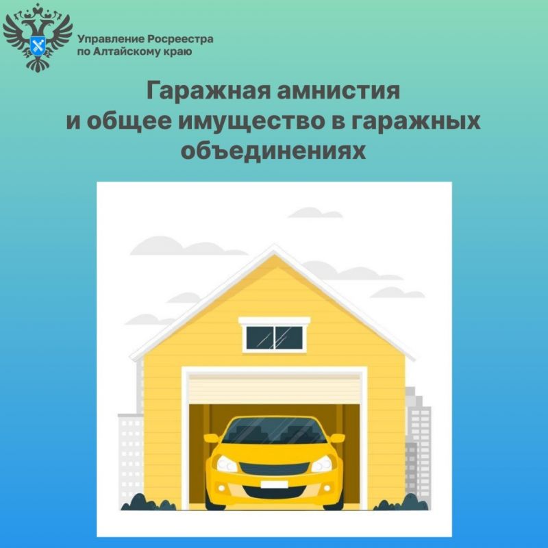 О «гаражной амнистии» и общем имуществе в гаражных объединениях