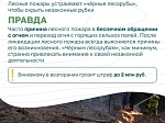 Разбираем самые распространённые заблуждения о лесных пожарах