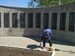 В преддверии празднования 75- летия Победы в ВОВ Администрация Благовещенского поссовета приняли активное участие в акциях