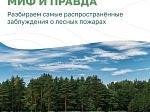 Разбираем самые распространённые заблуждения о лесных пожарах